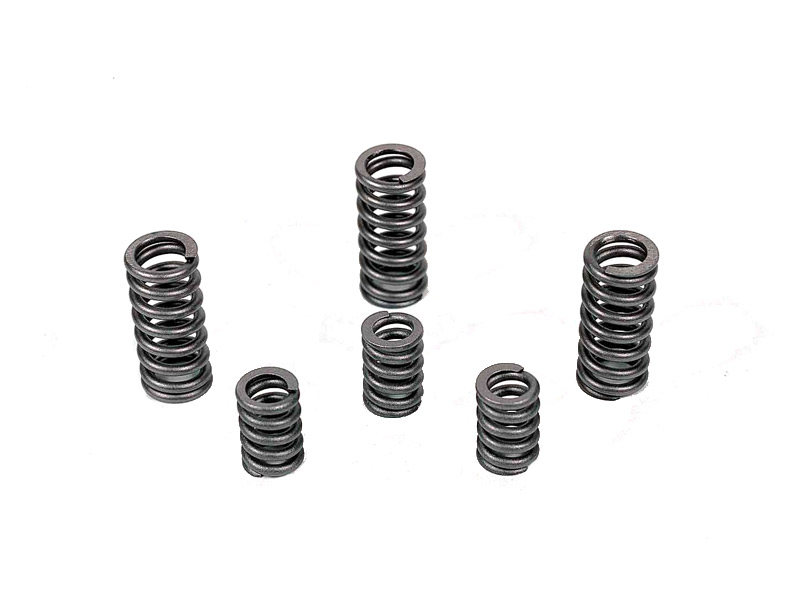  Automobile door hinge spring